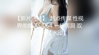 【新片速遞】  起点传媒 性视界传媒 XSJ064 一杆两洞 双倍快乐【水印】