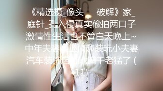 8/1最新 这是见到最骚的母狗摸了裤子就湿透了淫水湿透内裤VIP1196