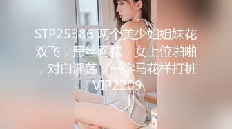 STP25386 两个美少妇姐妹花双飞，黑丝网袜，女上位啪啪，对白淫荡，一字马花样打桩 VIP2209