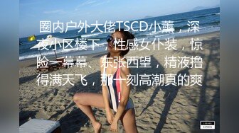 Mr.S - 你一直在闹 我一直在笑  看你的双眸 满眼中写满 情爱性爱。