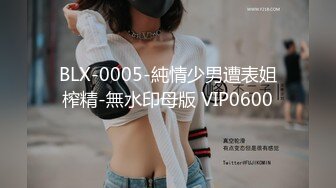 杏仁曲奇 黑兽 精灵女王