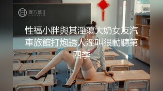 骚屄老婆幽会情人3P