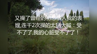 〽️骚爷出品〽️骚女视频系列七—浦东骚女续