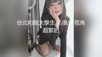 (麻豆傳媒)(mfk-0043)(20240111)小姨的線上情人