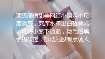 云南高端车模 高冷御姐大长腿性感水蛇腰白虎穴