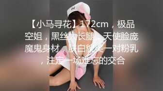 【小马寻花】172cm，极品空姐，黑丝大长腿，天使脸庞魔鬼身材，肤白貌美一对粉乳，注定一场难忘的交合