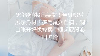 0318看看这是什么逼蝴蝶？