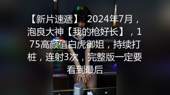 2024年9月流出，【Gsw大神】，约拍长沙某红书素人，跳蛋口交调教，真实感拉满，多名女大学生 (2)