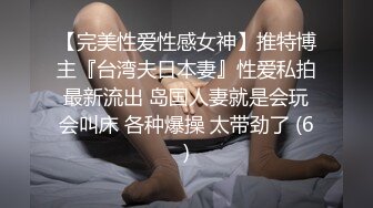 地震襲來，和巨乳傲嬌女主管受困在公司的我終於受不了啦 - 嵐芯語