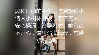 悉尼黑丝少妇撕破后入