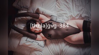 [thz.la]gvg-384