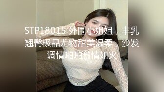 【淫乱人妻】绿帽淫荡母狗人妻【深绿岸腐猫儿】群P绿帽⑤ (2)