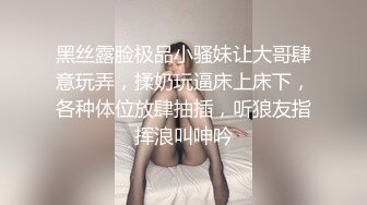 大波气质美女和纹身勐男炮友出租屋吹箫，啪啪内射，后入菊花对白清晰