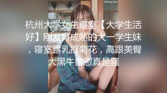   极品萝莉户外性体验调教玩操制服萝莉小母狗 电影院做爱 摩天轮爆 网吧JK跪舔 车震爆