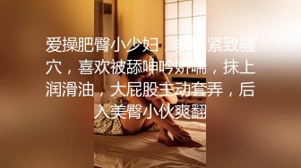 【高颜萝莉❤️重磅核弹】极品双马尾萝莉 车震无套后入 内射粉穴 美乳翘臀 高清 (2)