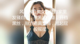 【AI换脸视频】那英 性感空姐的私下服务