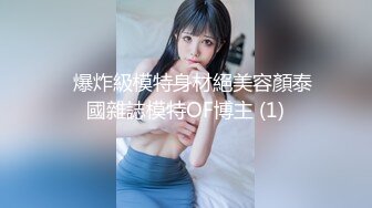 大奶老婆第一二季