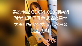 MD-0165-2_少年阿賓篇章二騷氣的小美學姐90年代經典情色文學改編官网蜜苏（蜜桃苏艾文）