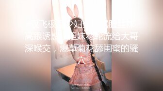 唯美MV风格露出达人萍萍系列第5部 公园绿道大胆全裸给环卫工人看