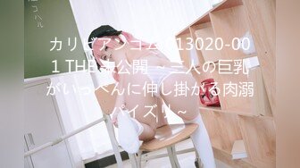 MDHS-0003.林嫣.季妍希.麻豆高校.游园打炮屋.摆摊卖母女丼.麻豆传媒映画