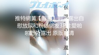 推特網黃【辭書】刺激露出自慰放尿和粉絲網友3P性愛啪啪野外露出 原版高清