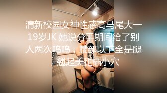 麻豆傳媒)(rs-018)(20230109)引誘我的騷逼巨乳同事