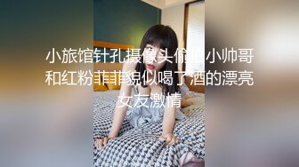 【新片速遞】  KTV女厕近距离偷窥短裙少妇的肥美大鲍鱼