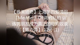 【唯美猎奇】上海第四爱情侣「MeiMei」OF调教私拍 训练男朋友成为真正的母狗奴隶【第六弹】(12v) (1)