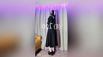 vids_310