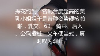 探花约到一名配合度超高的美乳小姐姐于是各种姿势硬核啪啪，乳交、69、骑乘、后入、公狗插桩、火车便当式，真时叹为观止