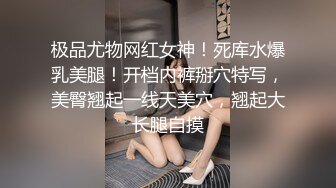 【JaneFishers】-完美胸型的白人主播，露脸自慰【33V】 (17)