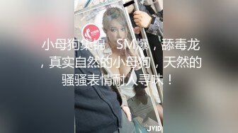 [2DF2] 好吃不过饺子，好玩不过厨房里干嫂子[BT种子]